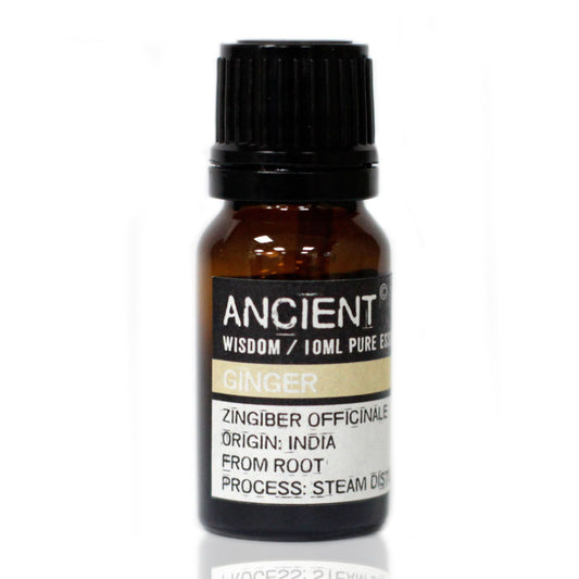 10 Ml Ingwer Ätherisches Öl Zingiber Officinale Aus Indien