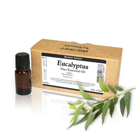 10x 10ml Eukalyptus Ätherisches Öl Unbeschriftet