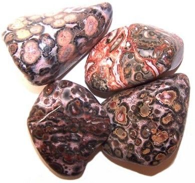 24er Pack L Tumble Stein Leopard Haut Jasper L