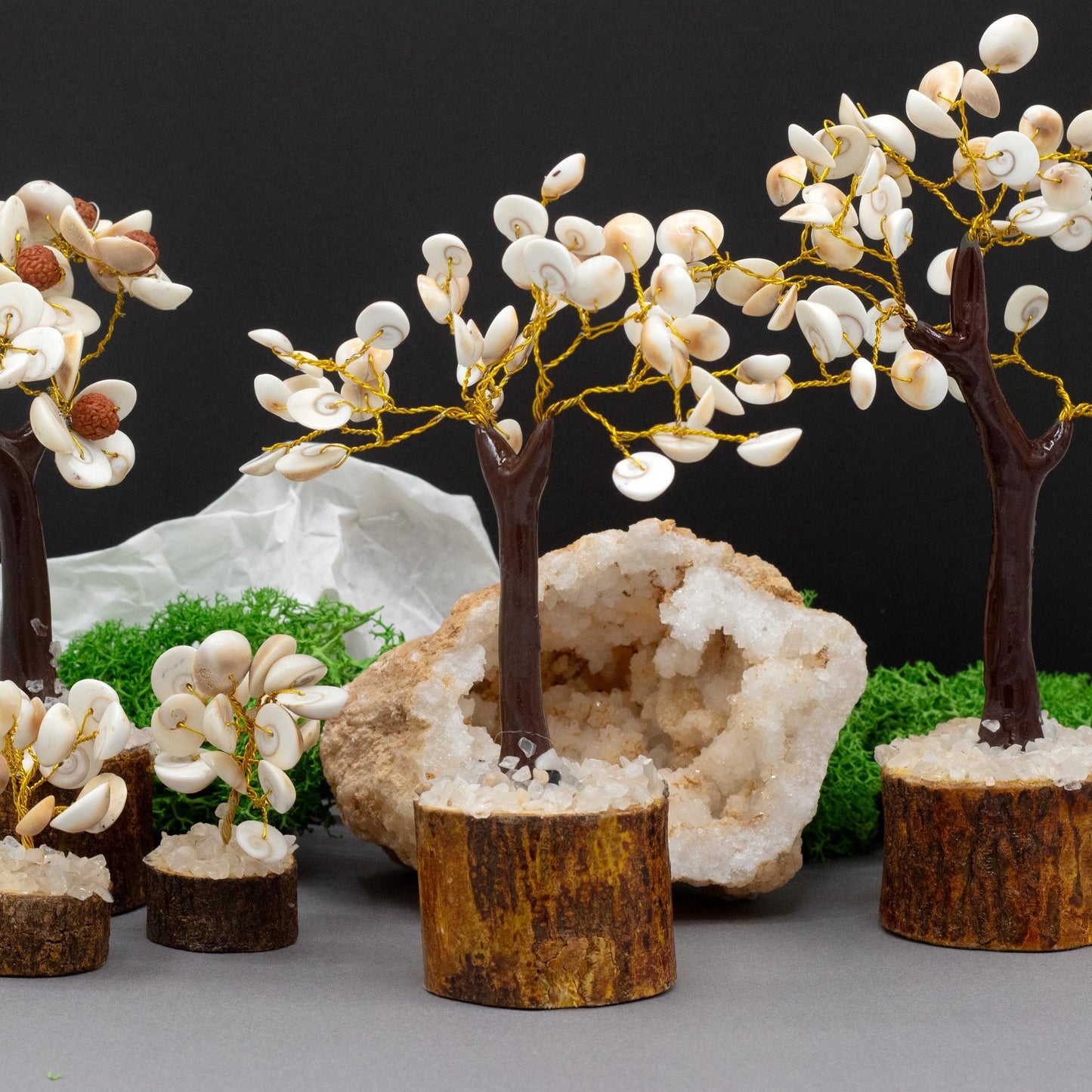 Med Gomati Chakra Kreis Stein Bäume mit 45 Steinen