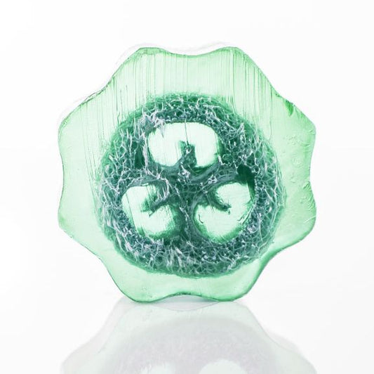 Luffa Seifenlaib 1.8kg Traube Exfolierend