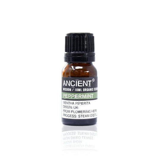 Pfefferminze Bio Ätherisches Öl 10ml