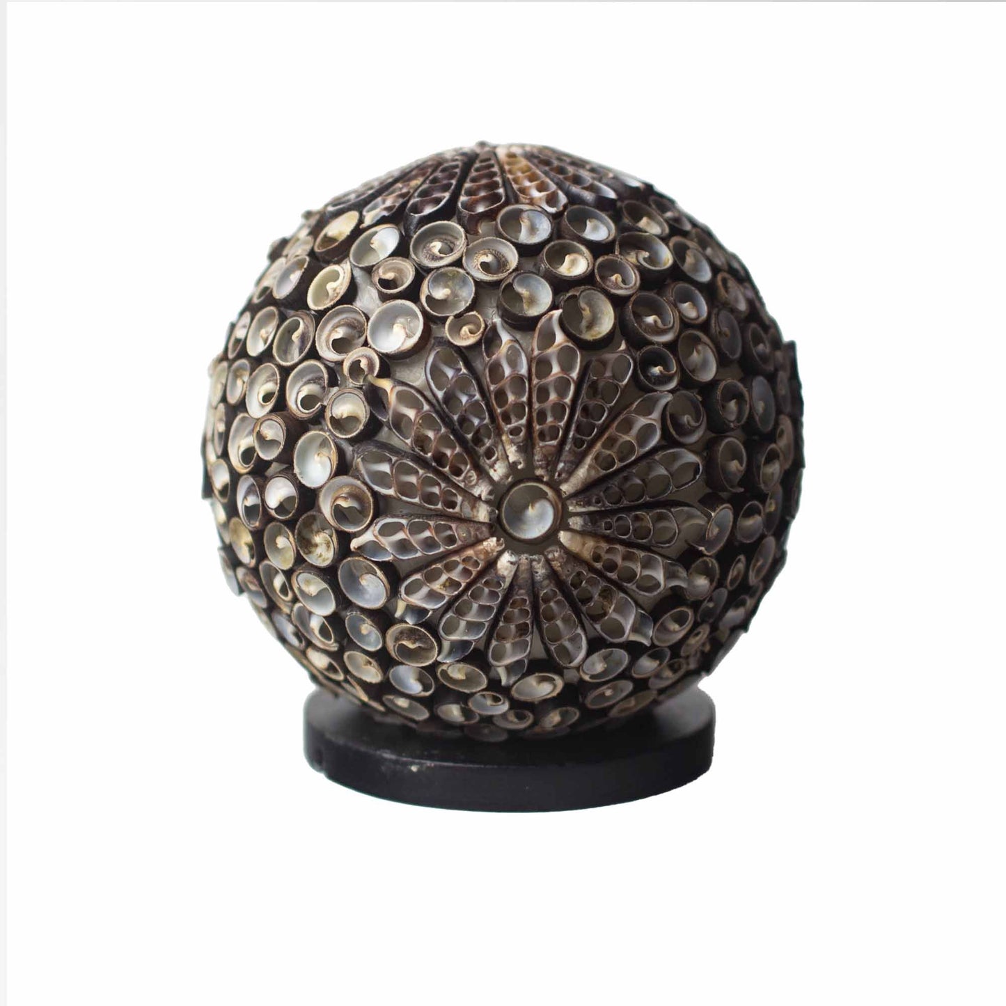 Boho Muschel Lampe - Schokoladen Drehung Globe - 15cm