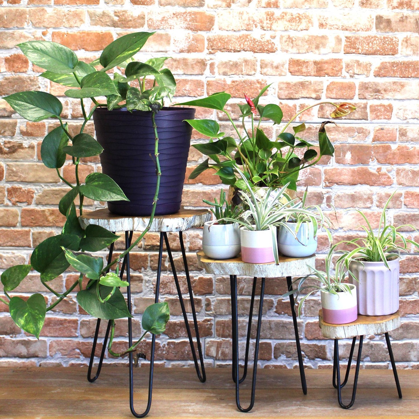 Set von 3 Gamell Holz Pflanzenständern - Weiß gewaschen