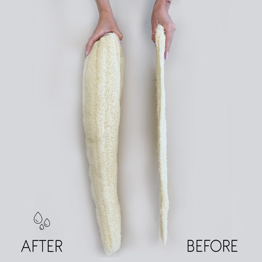 Ägyptische Luxus Ganze Luffa Komprimiert 23cm