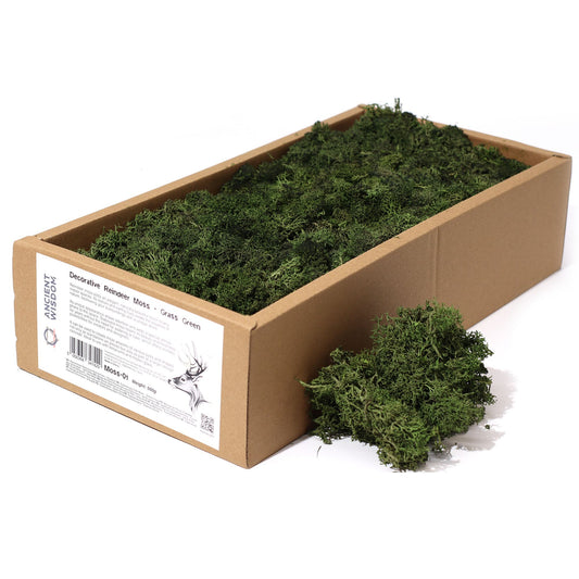 Qualitätsdekoration Rentiermoos - Grasgrün - 635g Box