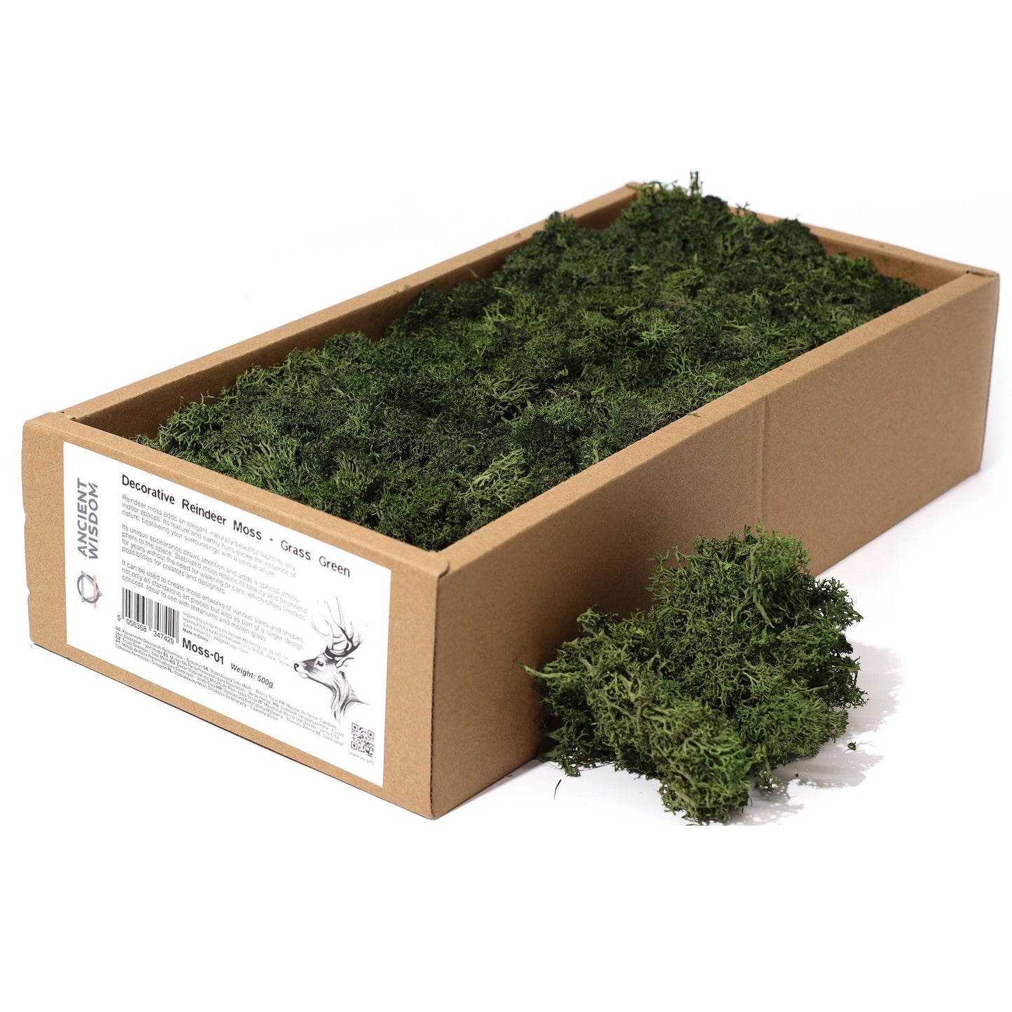 Qualitätsdekoration Rentiere Moos - Grasgrün - 635g Box