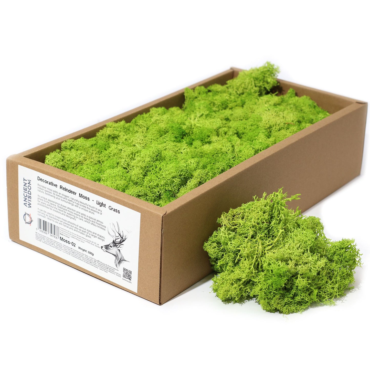 Qualitätsdekoration Rentiermoos Leichtes Gras 635g Box