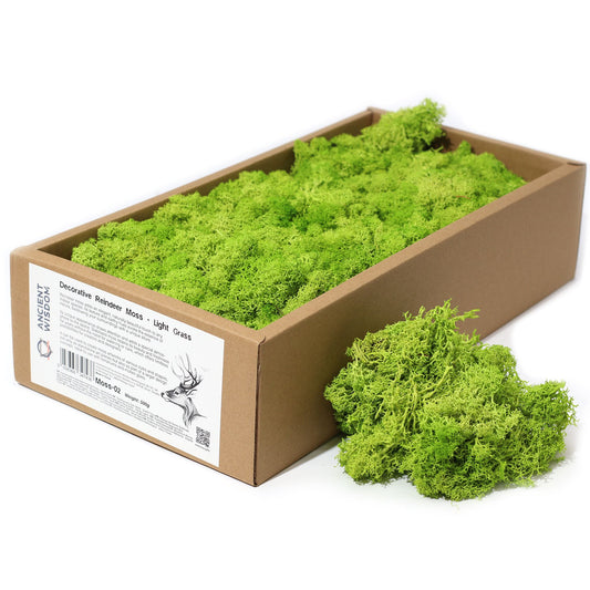 Qualitätsdekoration Rentiermoos Leichtes Gras 635g Box
