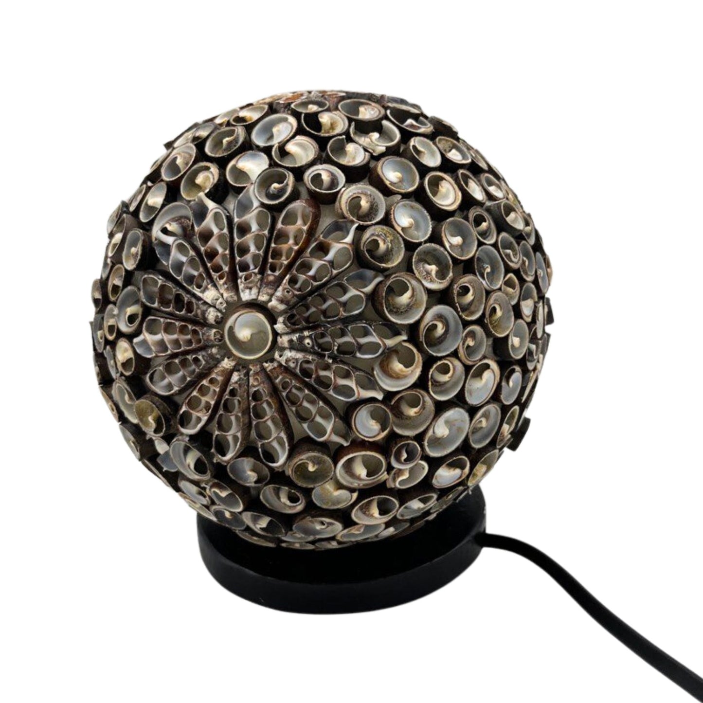 Boho Muschel Lampe - Schokoladen Drehung Globe - 15cm