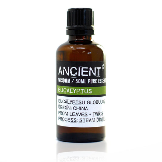 Eukalyptus 50ml Ätherisches Öl