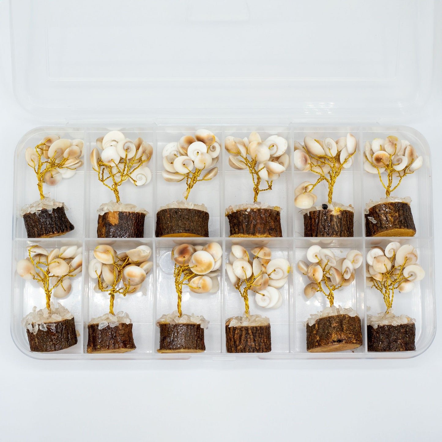 Kleine Gomati Chakra Kreisstein Bäume mit 15 Steinen