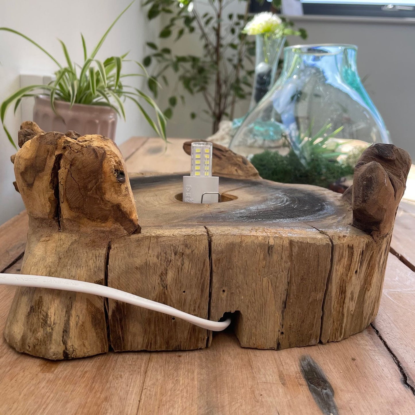 Molten Glass Großer Fisch Tank 32cm