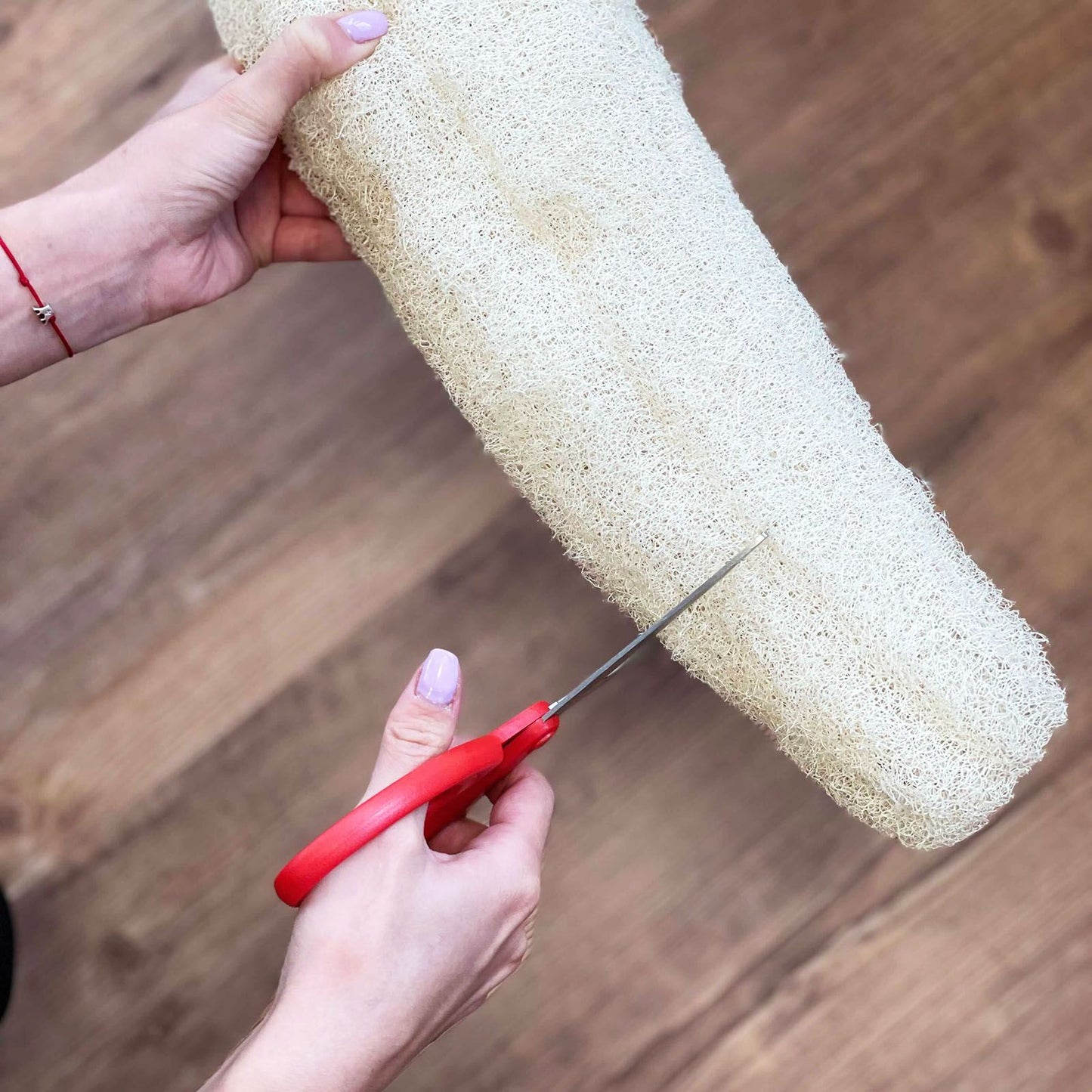 Ägyptische Luxus Ganze Luffa Komprimiert 23cm