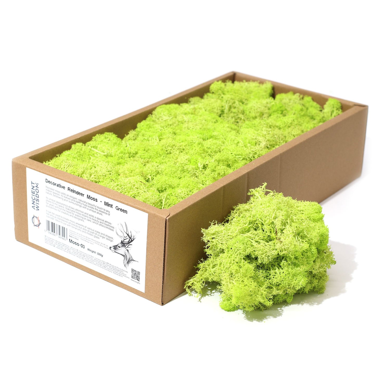 Qualitätsdekoration Rentiermoos - Mintgrün - 635g Box
