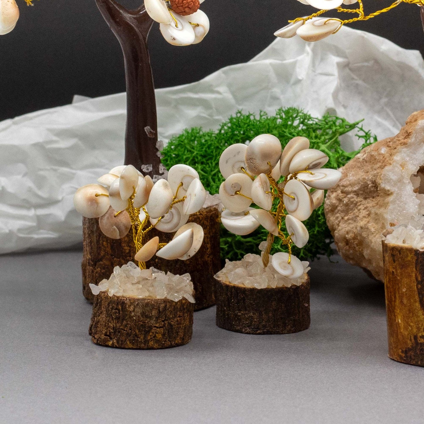 Kleine Gomati Chakra Kreisstein Bäume mit 15 Steinen