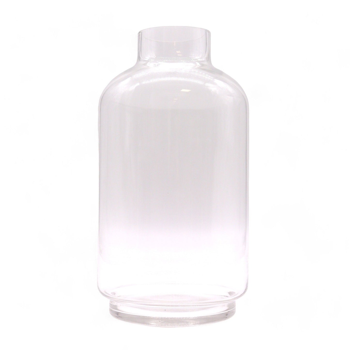 Großes Kugel-Terrarium Auf Dunklem Tung-Holz 16x32cm