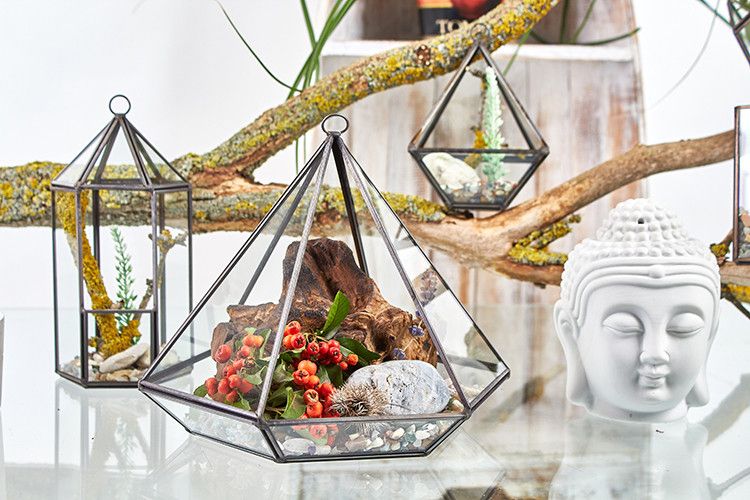 Glas Terrarium Würfel Ecke Mit Eisenrahmen Für Sukkulenten Und Luftpflanzen