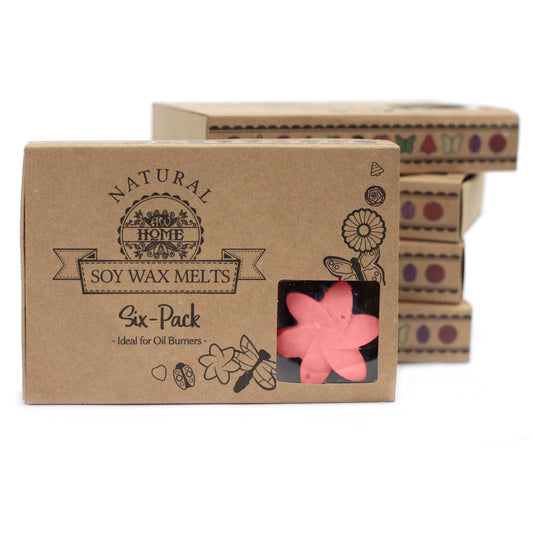 Geschenkset Mit 6 Wachsschmelzen - Japanische Magnolie