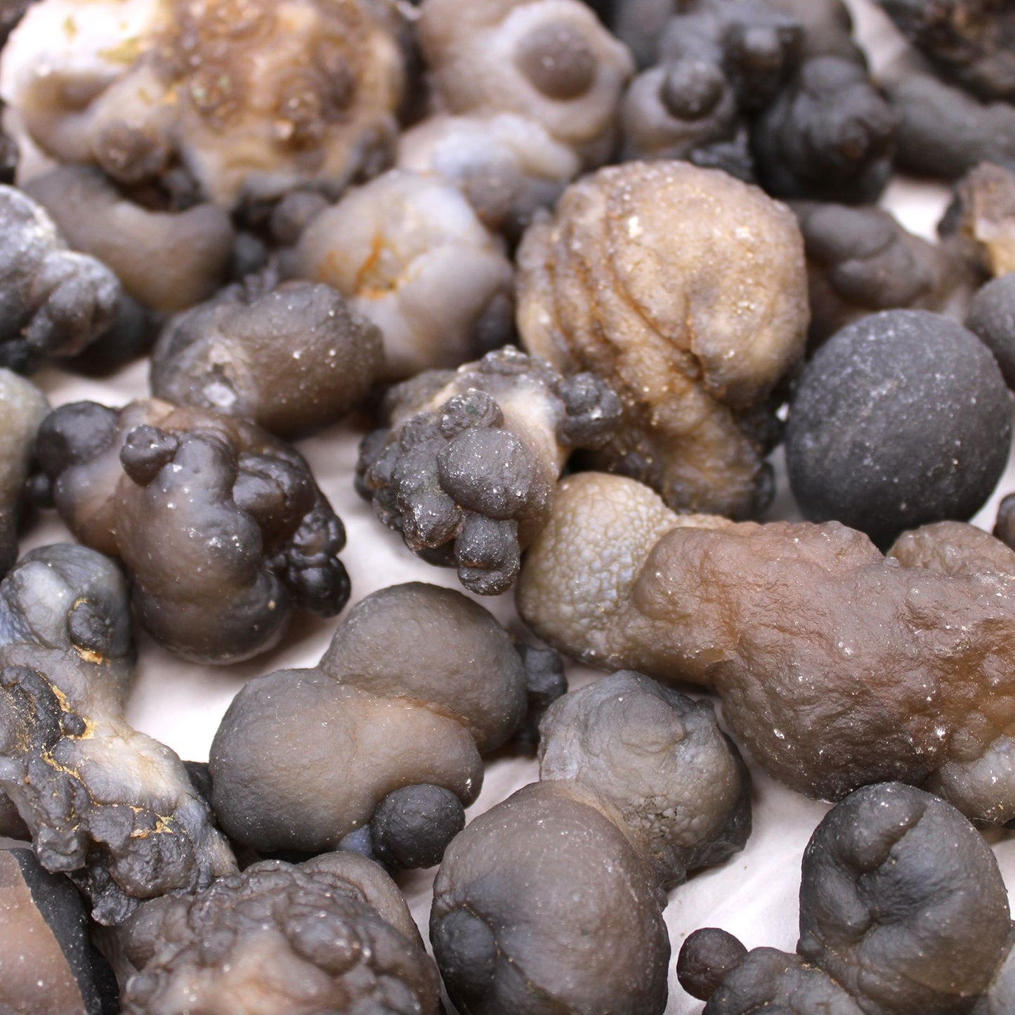 Mineralproben Chalcedon Ungefähr 100 Stück