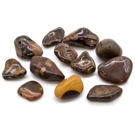 Tasche Mit 12 Mittleren Afrikanischen Tumble Stones - Bild Nguni