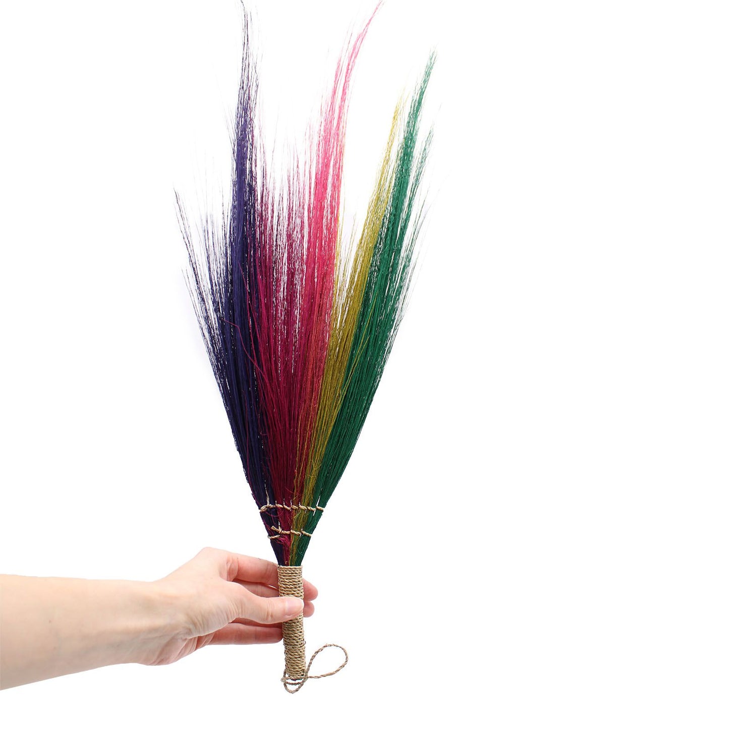 Set 4 Pampas Besen Regenbogenfarben