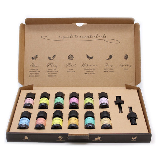 Aromatherapie Ätherisches Öl Set Die Top 12