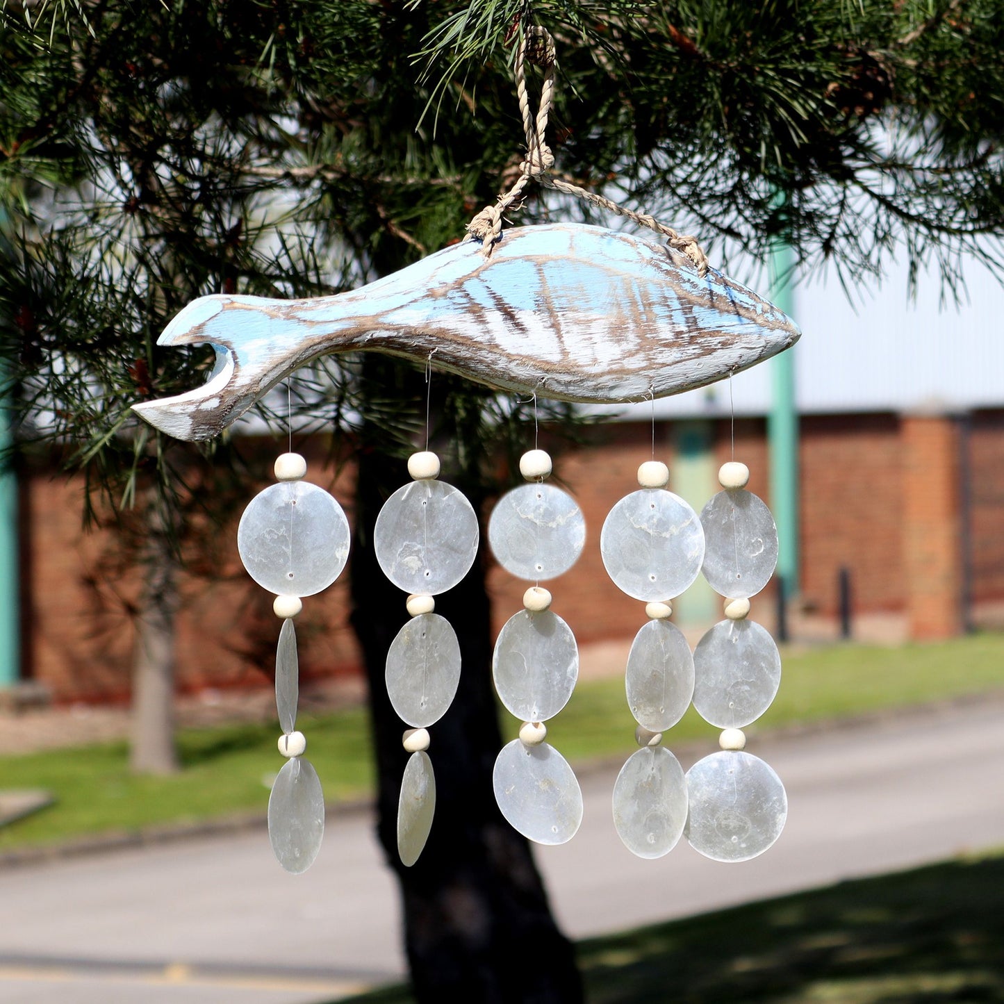 Blauwasch Fisch Schnitzerei Und Natürlicher Capiz Tropfen