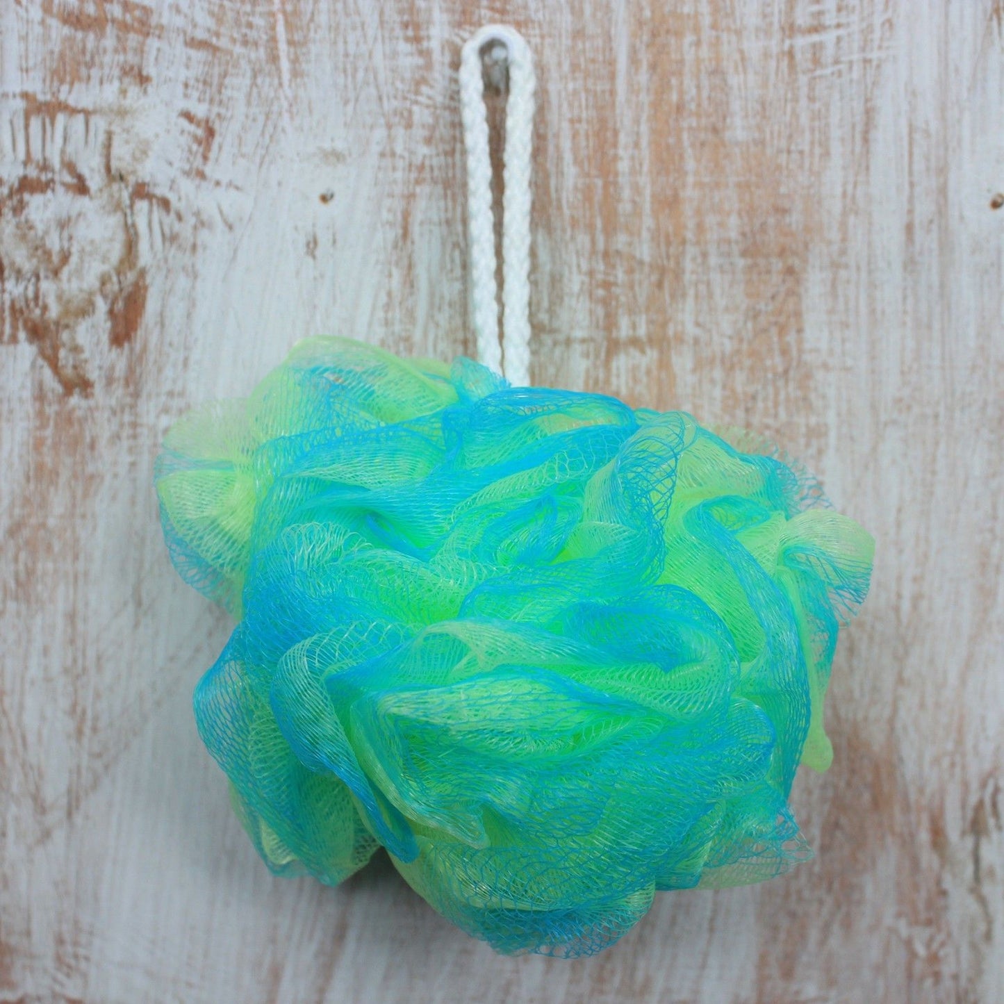 Pariser Luxuriöse Scrunchies 5 Stück Assortiert im Displaytube 35 Gramm