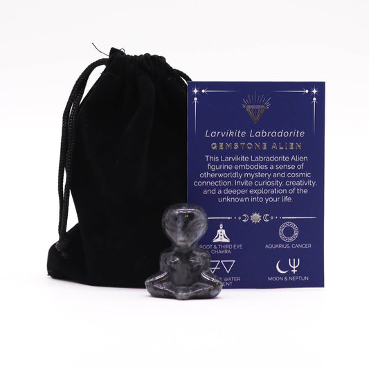 Edelstein Alien - Larvikit Labradorit 40x30x15mm