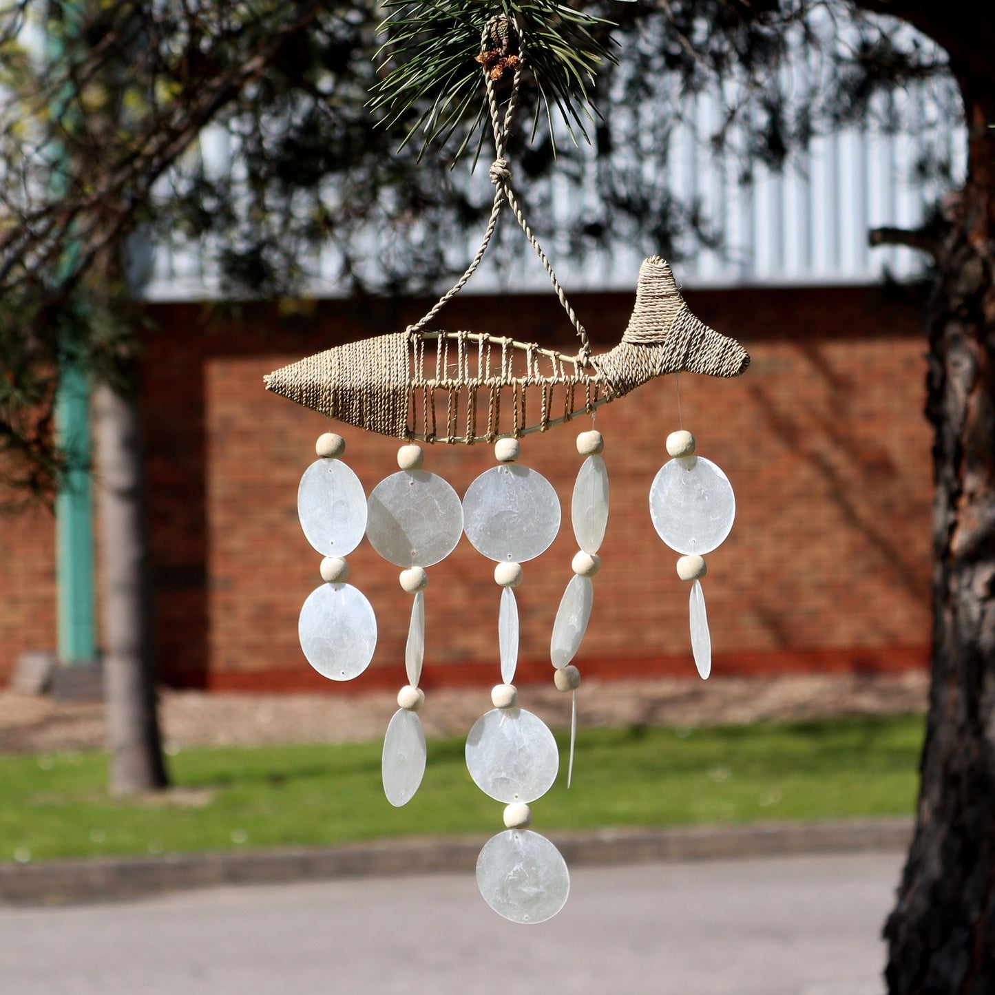 String Fisch und Natürlicher Capiz Muschel Tropfen