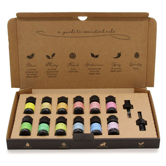 Aromatherapie Ätherisches Öl Set Starterpaket mit 12 Ölen und 2 Tropfern