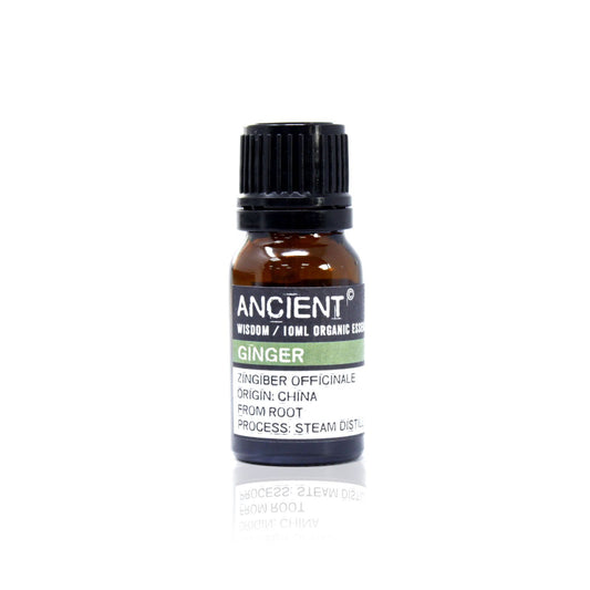 Ingwer Bio Ätherisches Öl 10ml
