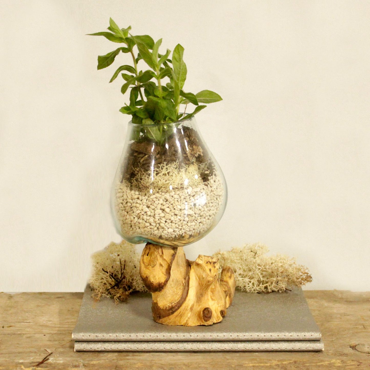 Geschmolzenes Glas Auf Holz - Mittelschale