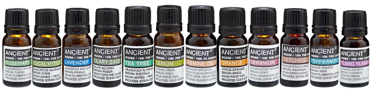 Top 12 Aromatherapie Box Mit 12 Ätherischen Ölen