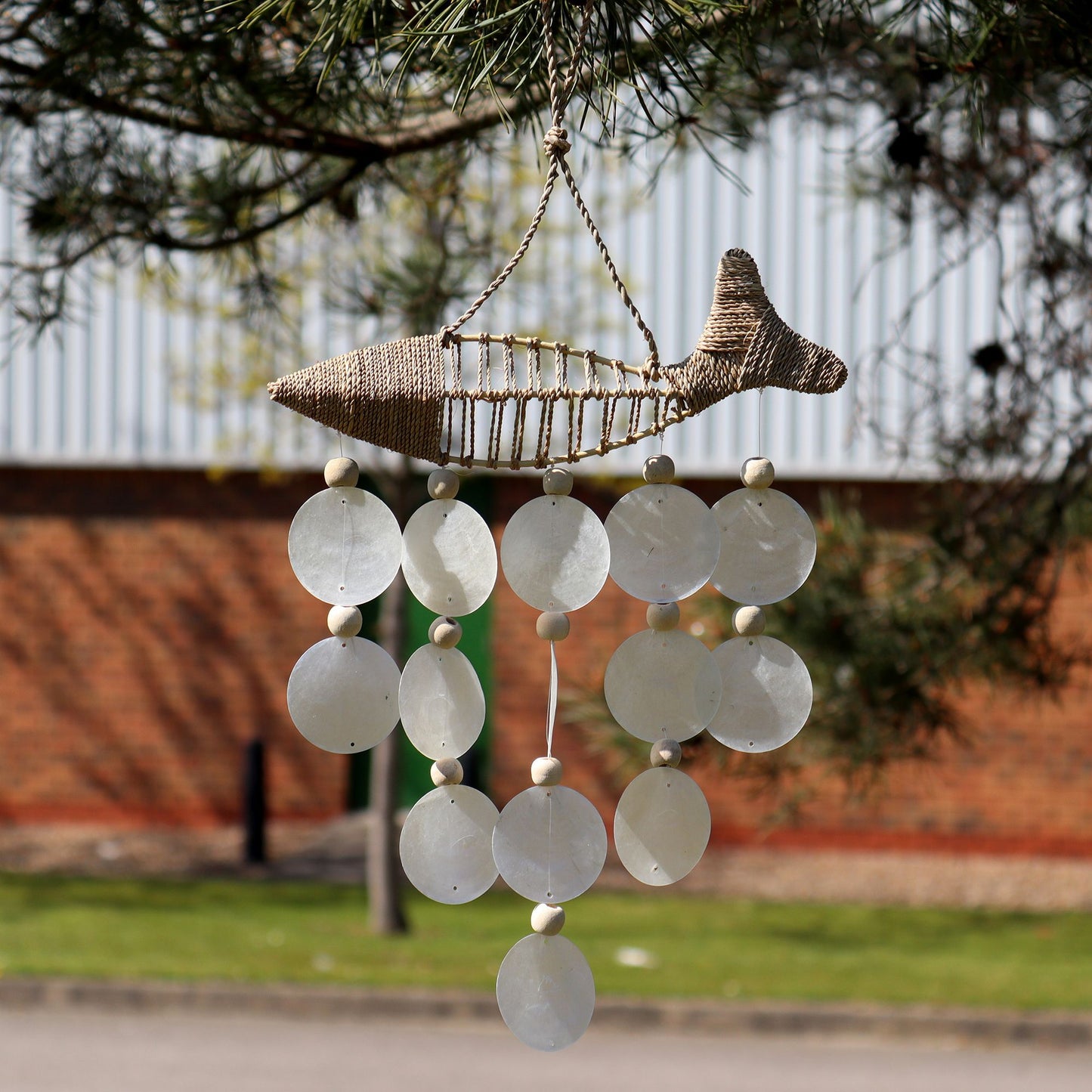 String Fisch und Natürlicher Capiz Muschel Tropfen