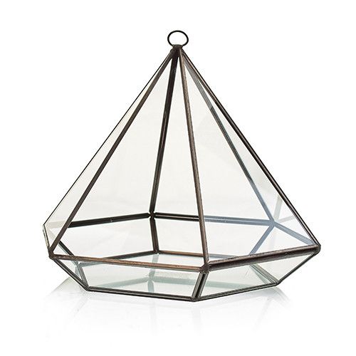 Großes Diamant Glas Terrarium für Sukkulenten und Luftpflanzen
