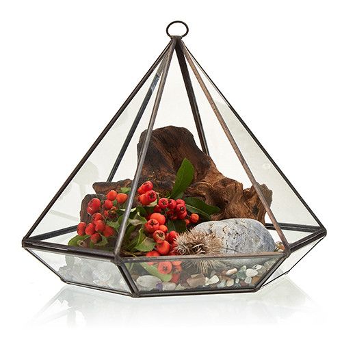 Großes Diamant Glas Terrarium für Sukkulenten und Luftpflanzen