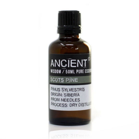 Kiefer Sibirische Ätherisches Öl 50ml Pinus Sylvestris