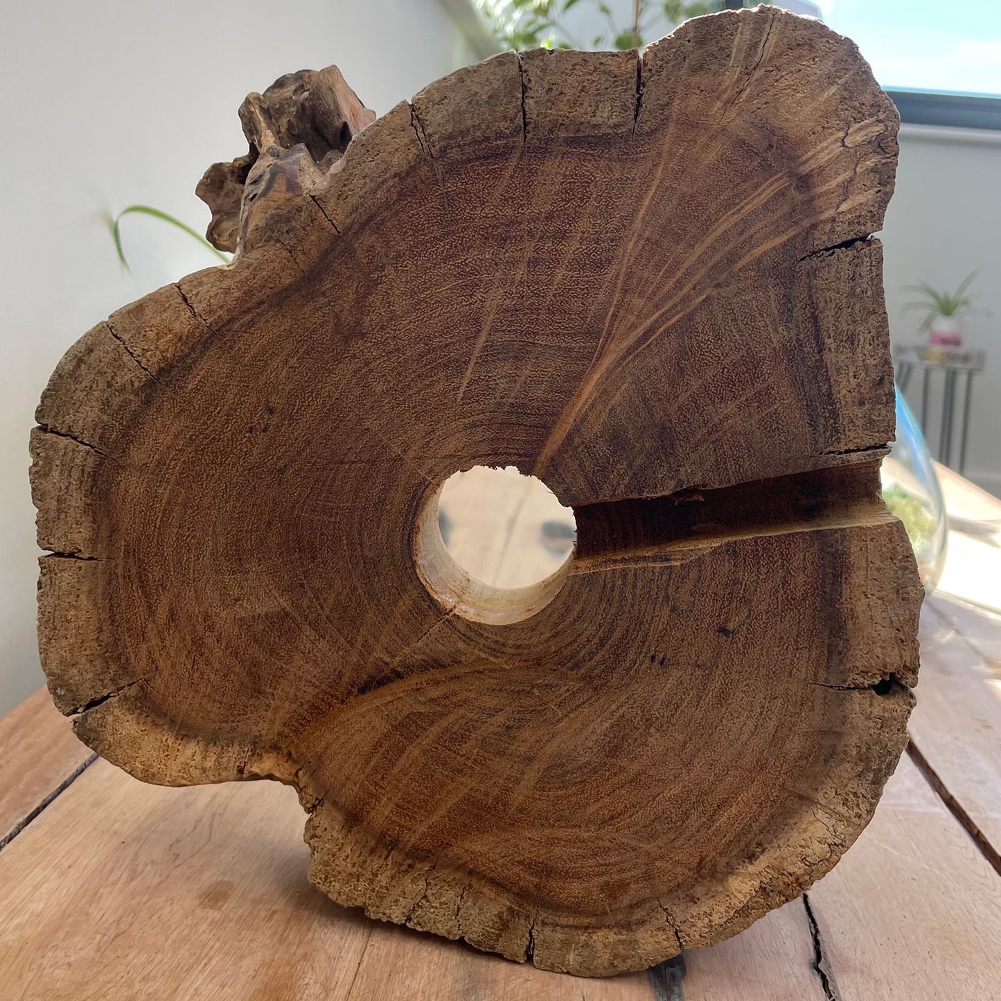 Molten Glass Großer Fisch Tank 32cm