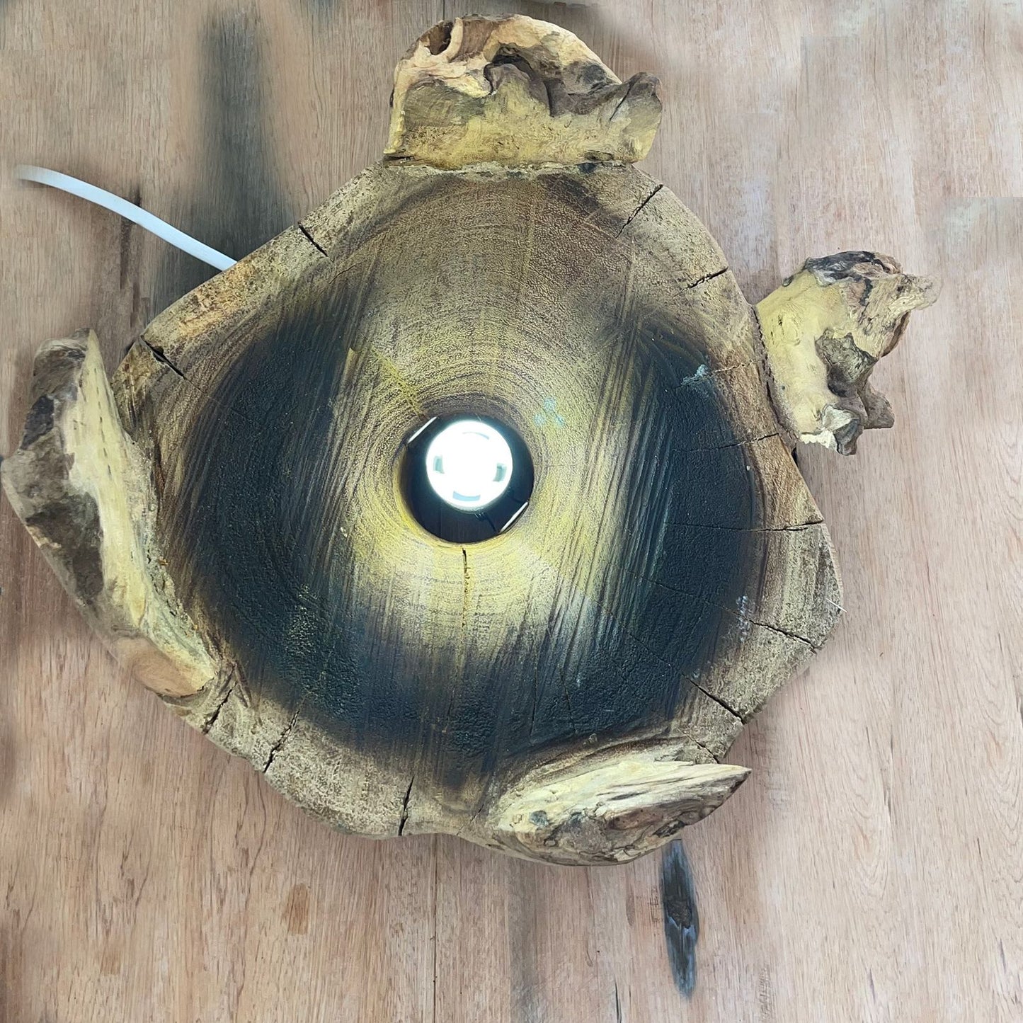 Molten Glass Großer Fisch Tank 32cm