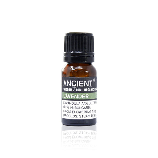 Lavendel Bio Ätherisches Öl 10ml