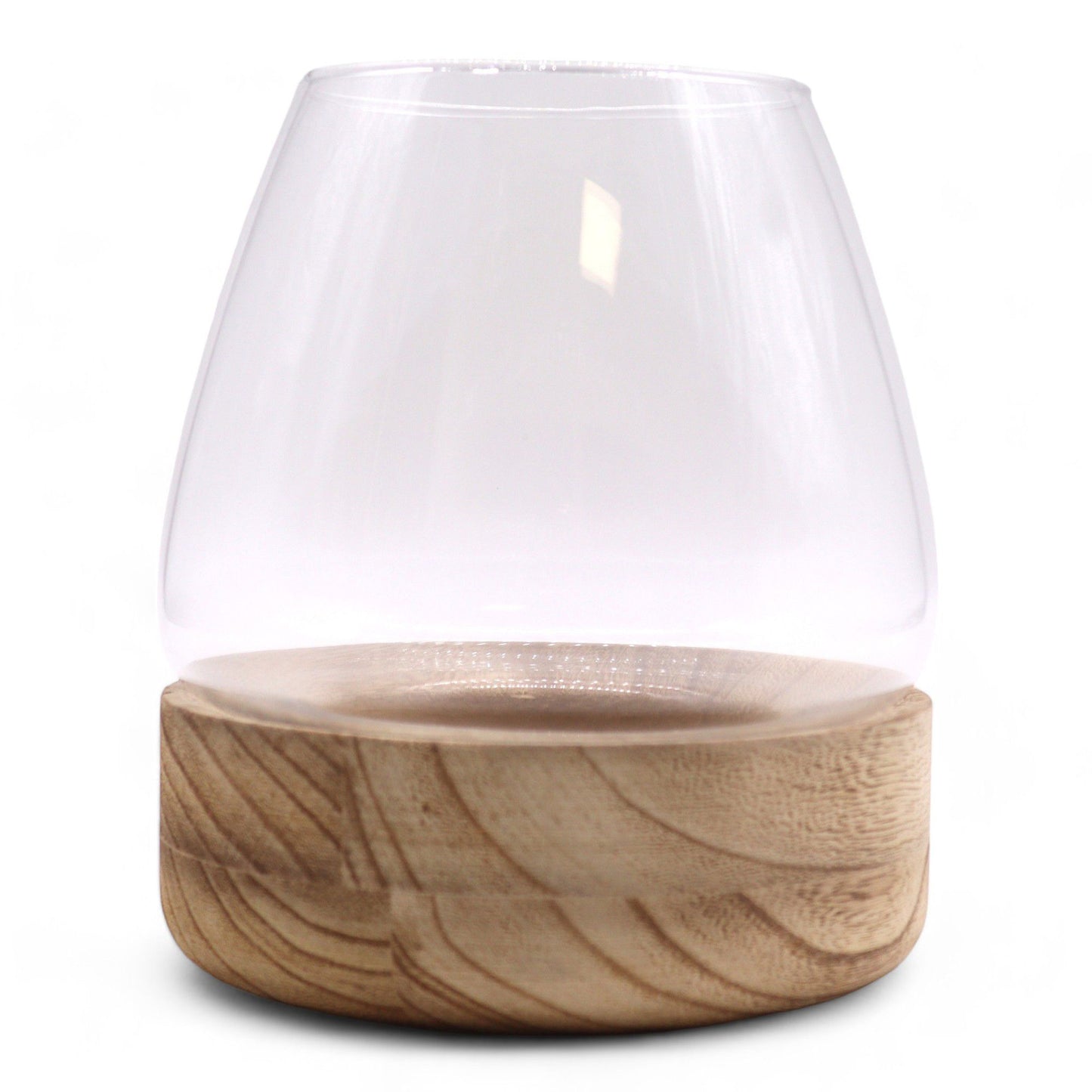 Großes Terrarium Auf Natürlichem Tung Holz 17x19cm