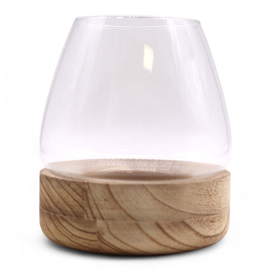 Großes Terrarium Auf Natürlichem Tung Holz 17x19cm