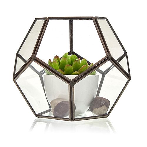 Glas Terrarium Großes Oktagon