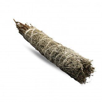 Smudge Stick Blauer Salbei 22 5 cm