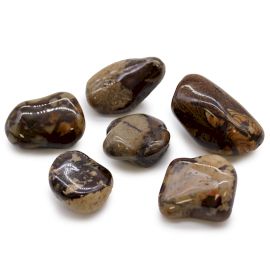 Beutel Mit 6 Großen Afrikanischen Tumble Stones - Jasper Nguni