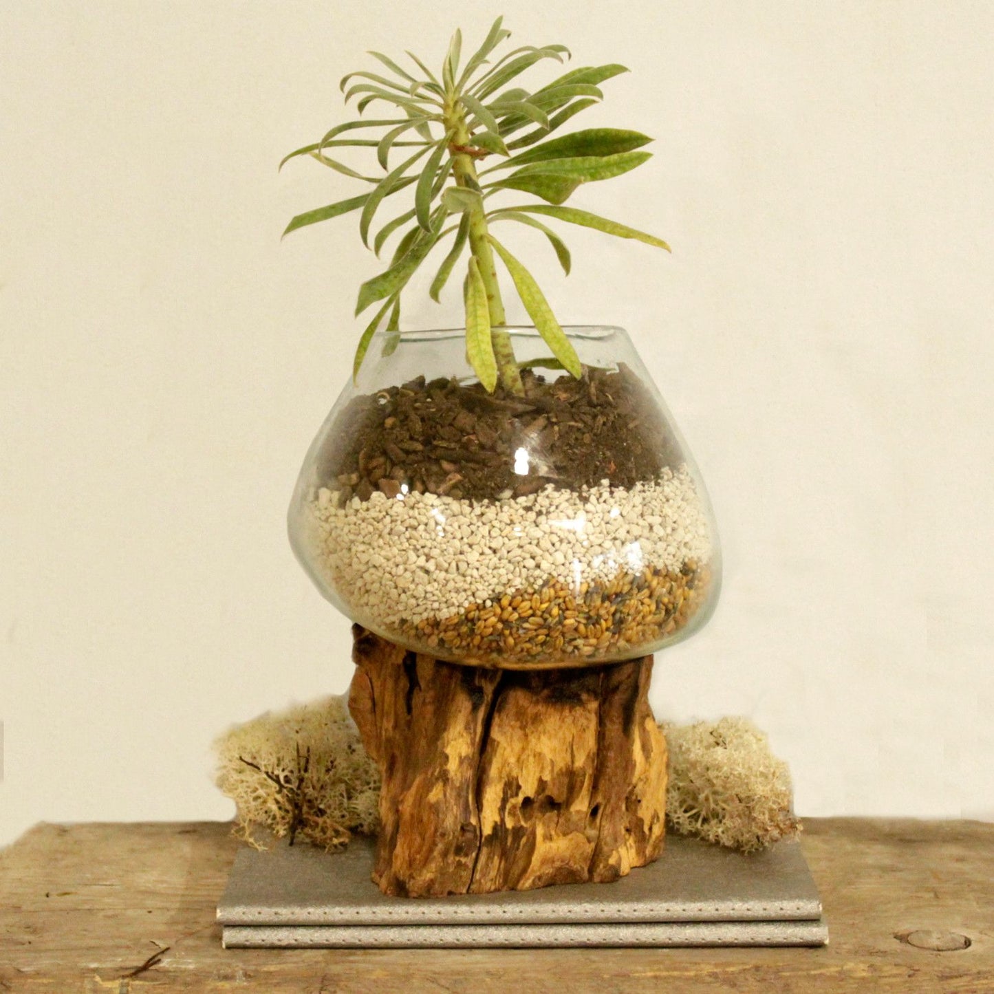 Geschmolzenes Glas Auf Holz - Große Schüssel