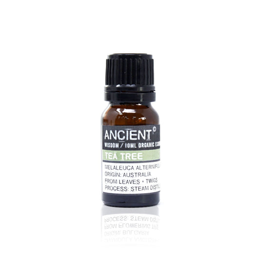Teebaum Bio Ätherisches Öl 10ml