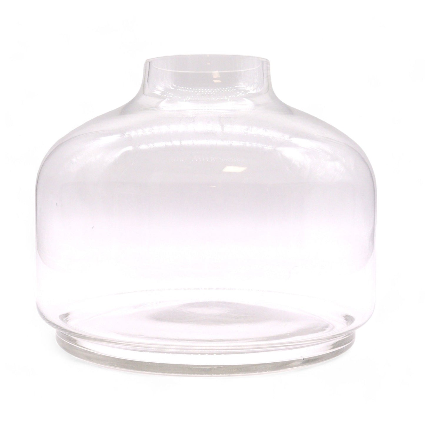 Extra Großes Kugel Terrarium Auf Dunklem Tung Holz 23x23cm